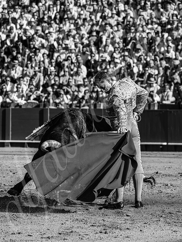 20260426 sevilla fd 010