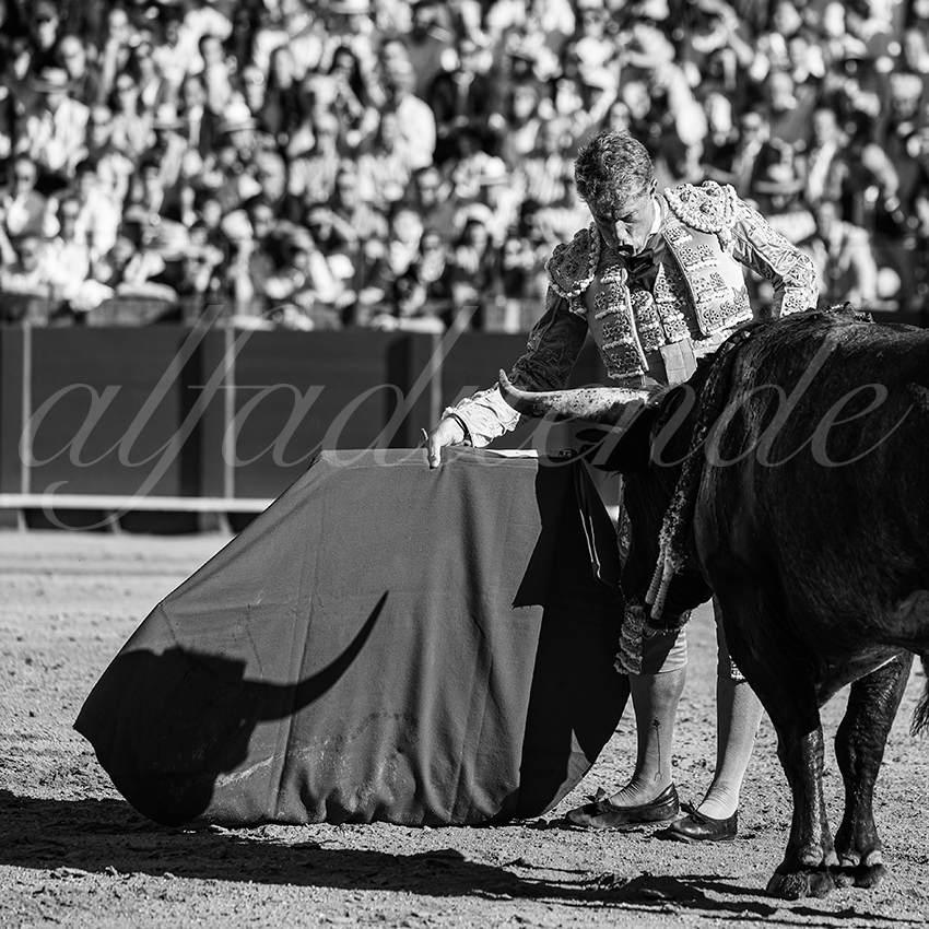 20260426 sevilla fd 009