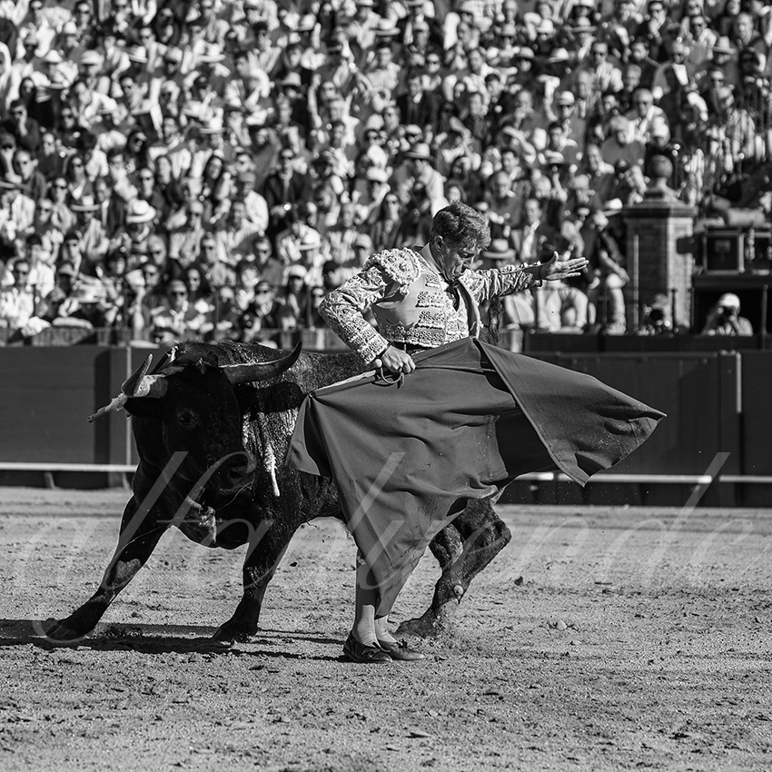 20260426 sevilla fd 008