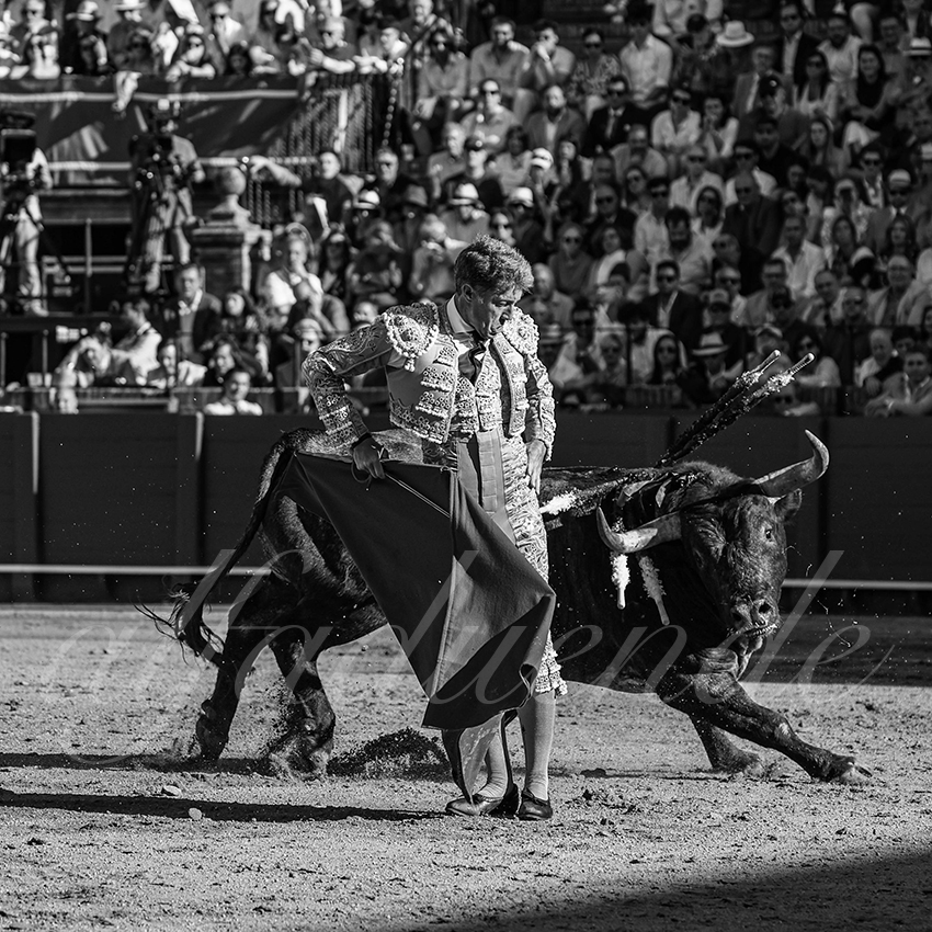 20260426 sevilla fd 007