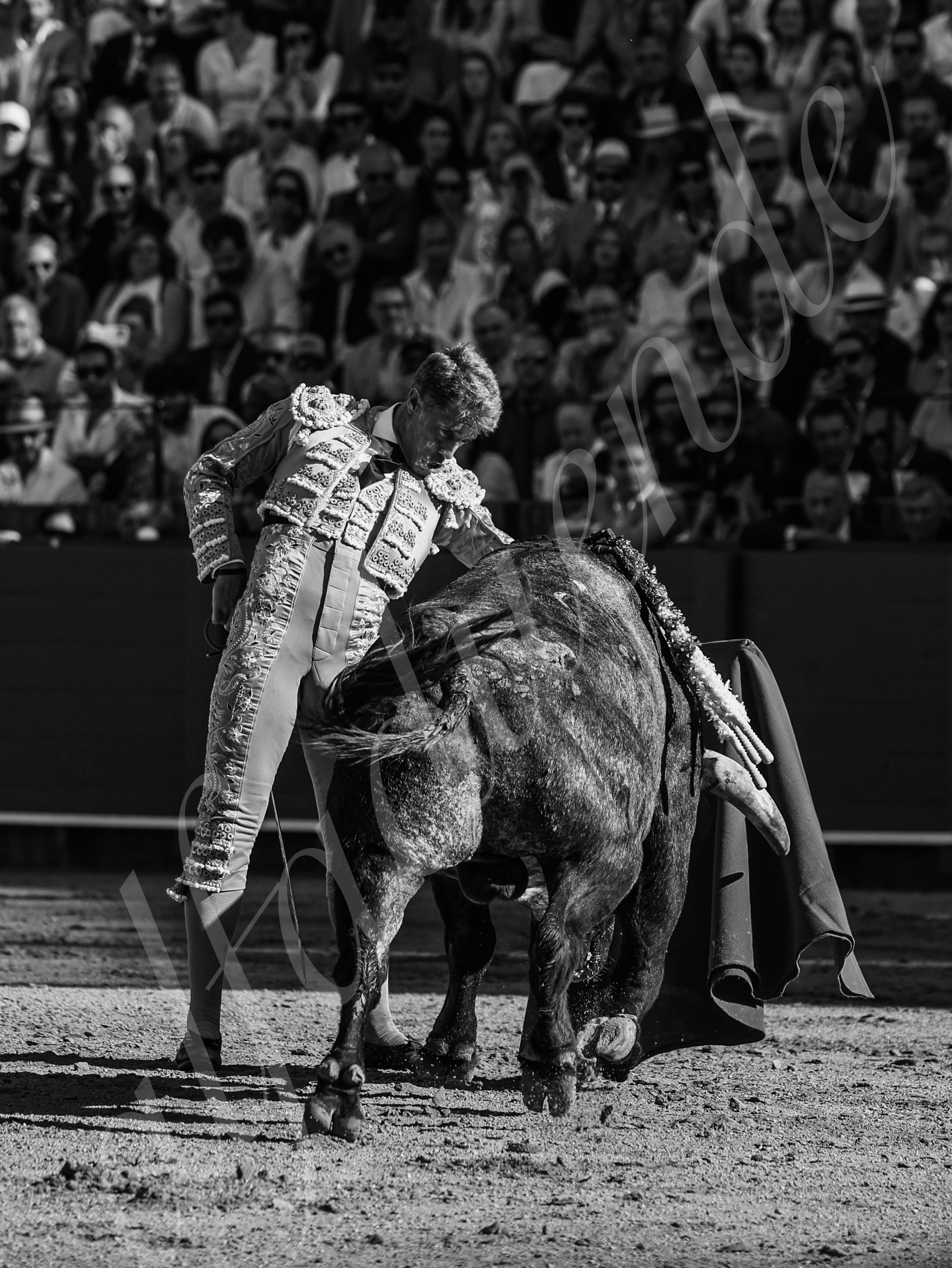 20260426 sevilla fd 006