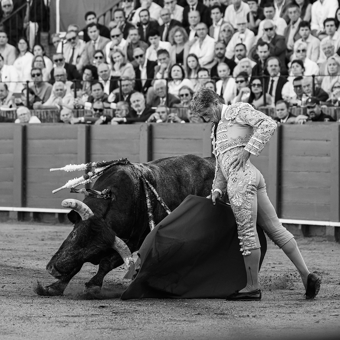 20260426 sevilla fd 005