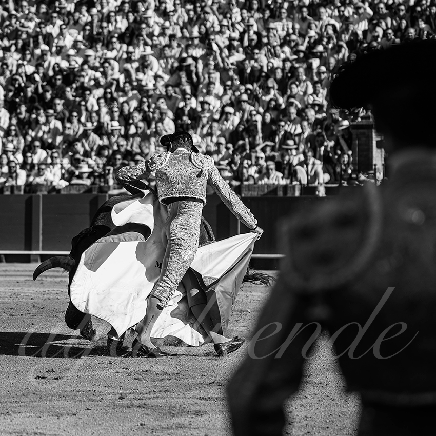 20260426 sevilla fd 004