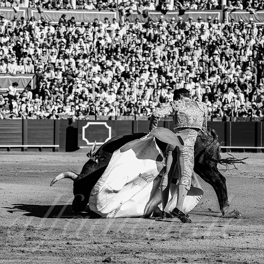 20260426 sevilla fd 003