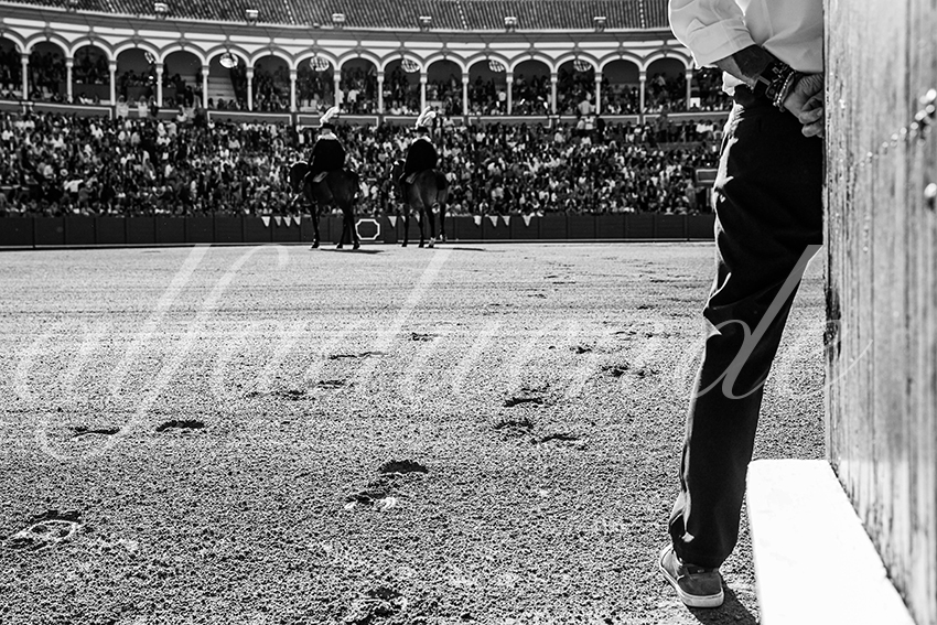 20260426 sevilla fd 002