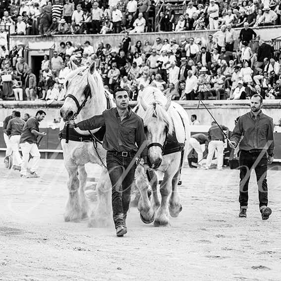 20260522 nimes fd 017