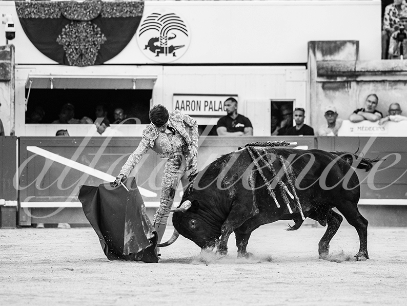 20260522 nimes fd 016