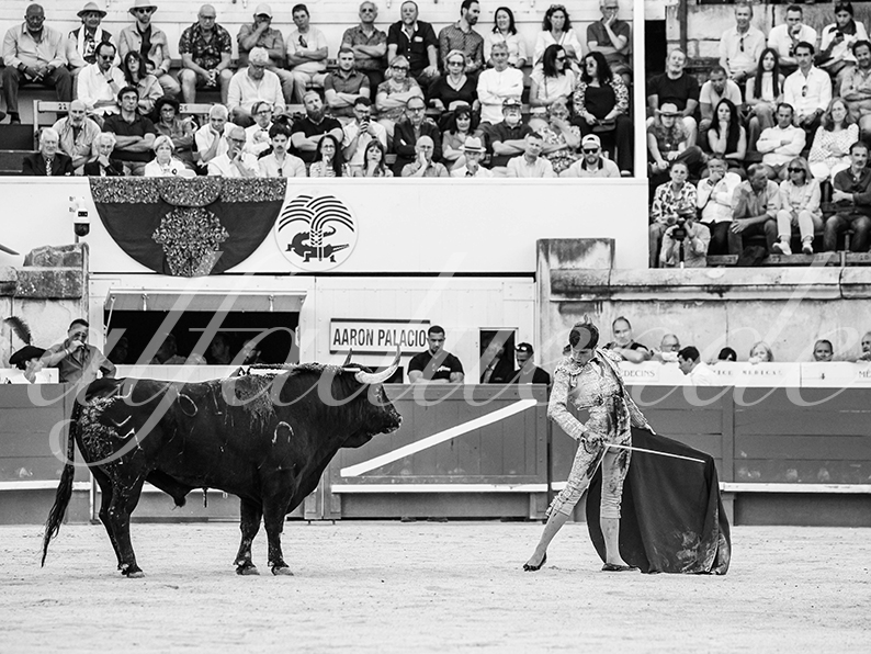 20260522 nimes fd 015