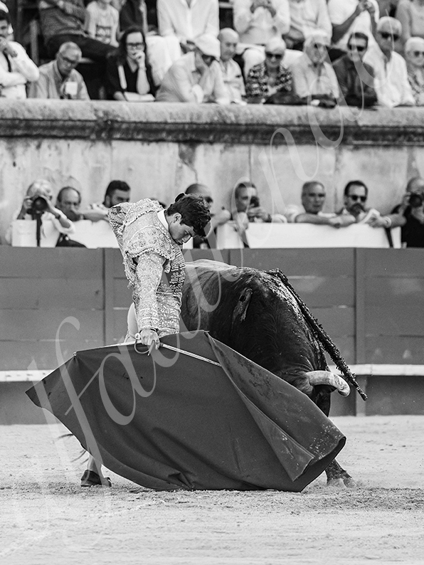 20260522 nimes fd 013