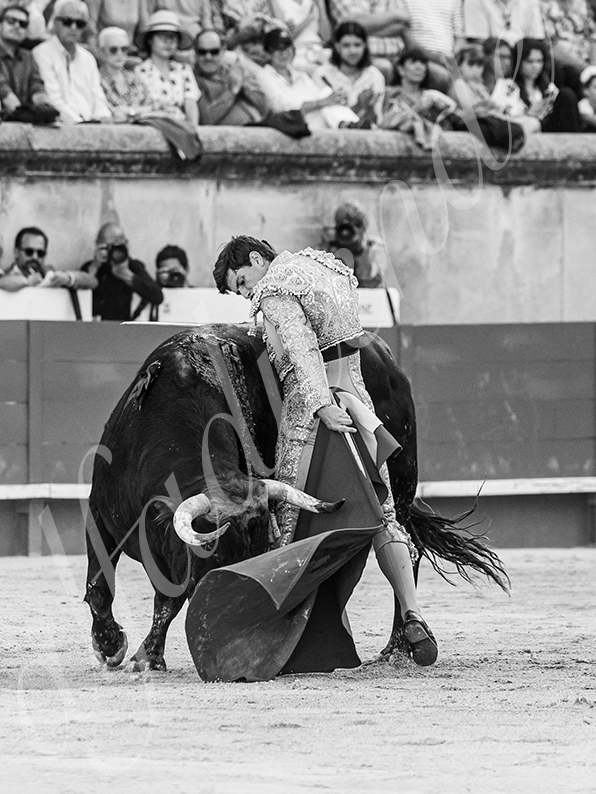 20260522 nimes fd 012