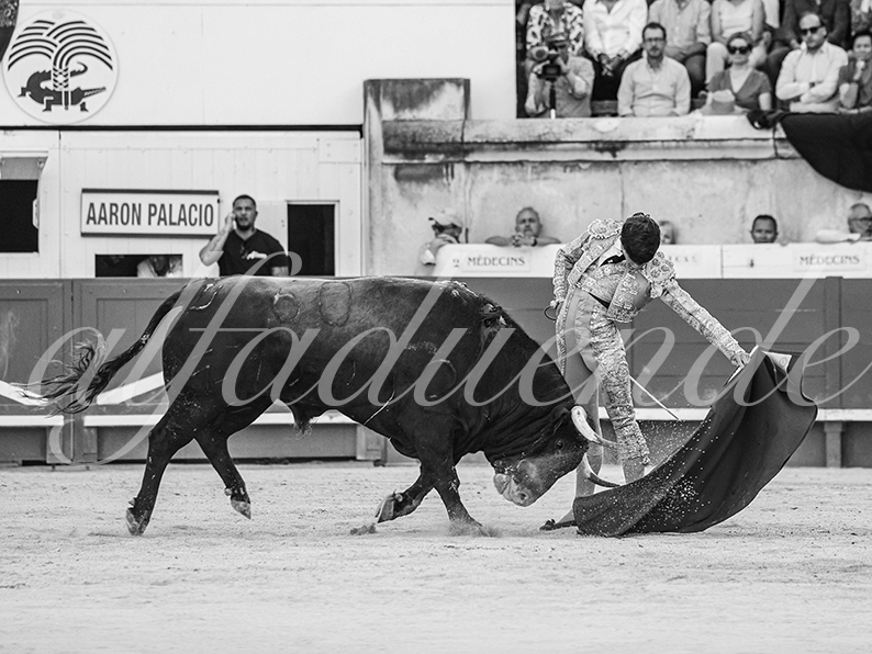 20260522 nimes fd 011