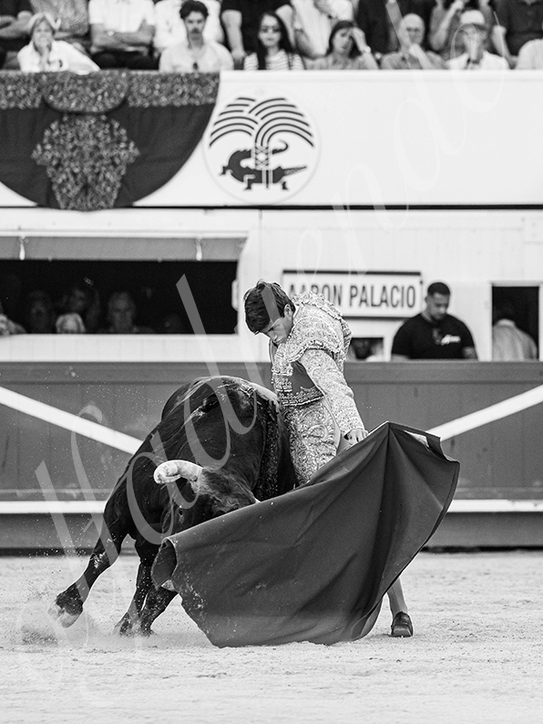 20260522 nimes fd 010