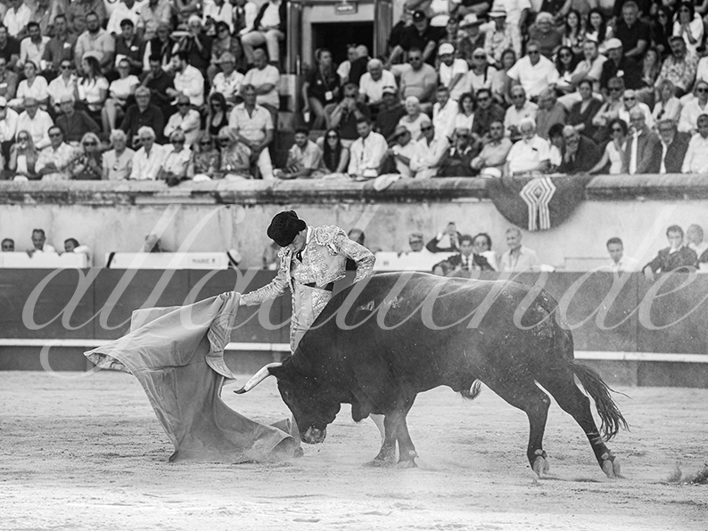20260522 nimes fd 009