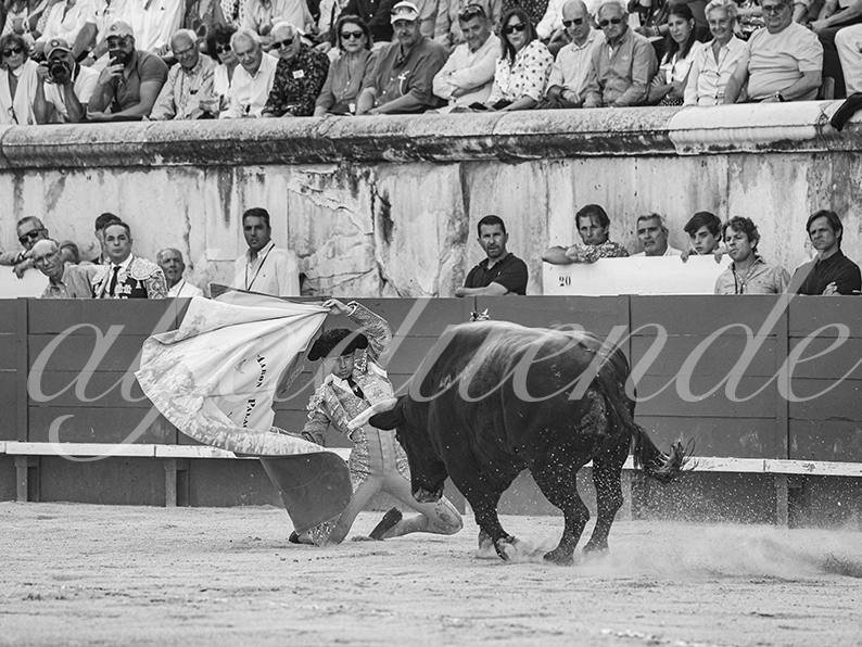 20260522 nimes fd 008