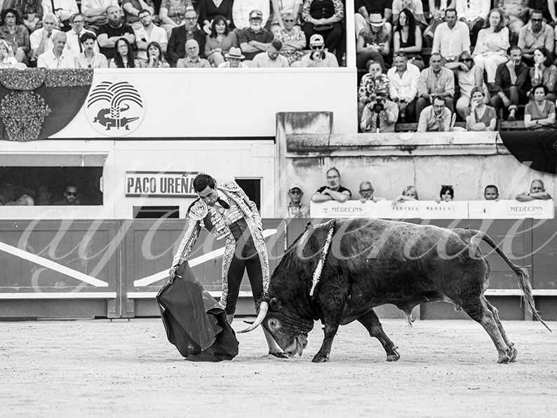 20260522 nimes fd 007