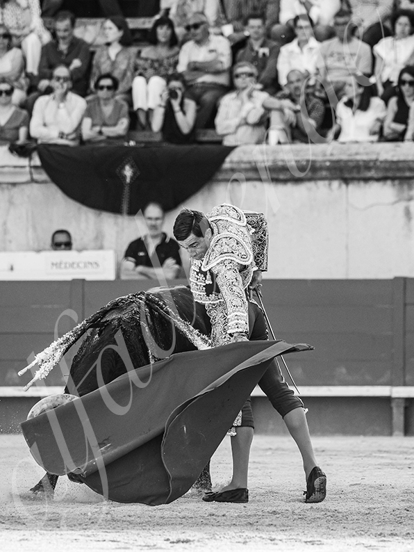 20260522 nimes fd 006