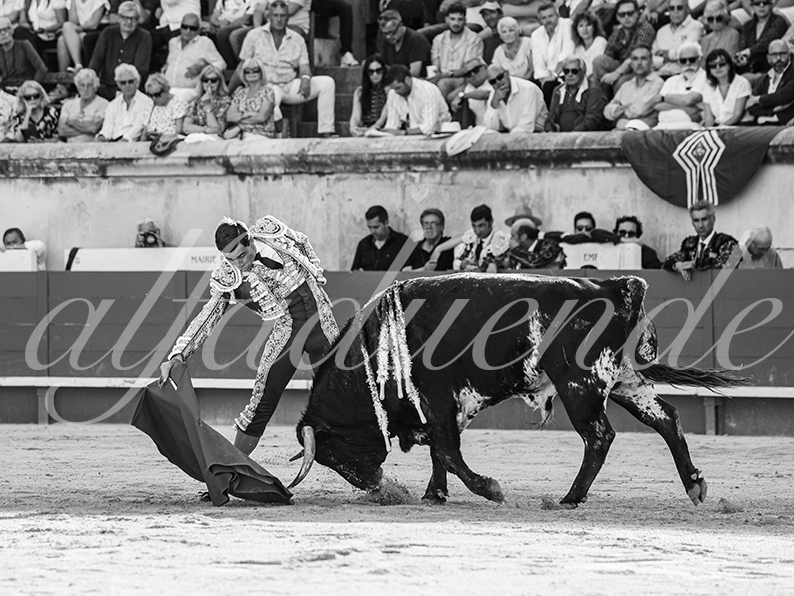 20260522 nimes fd 005