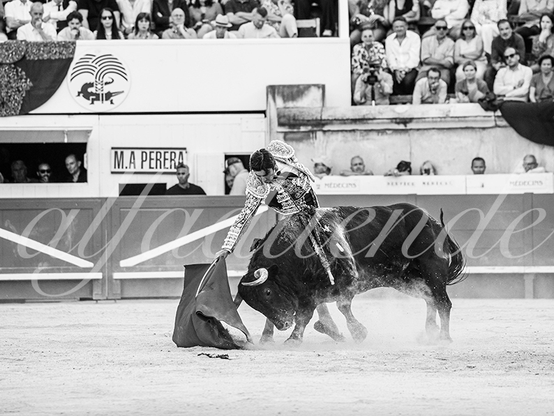 20260522 nimes fd 004