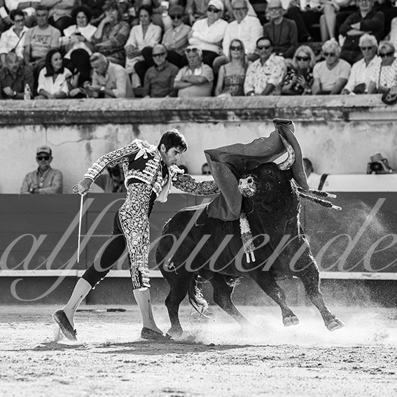 20260522 nimes fd 002