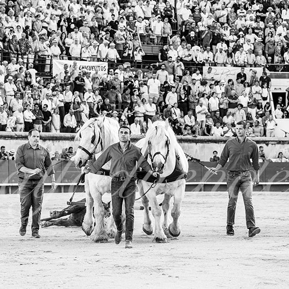 20260523 nimes fd 032