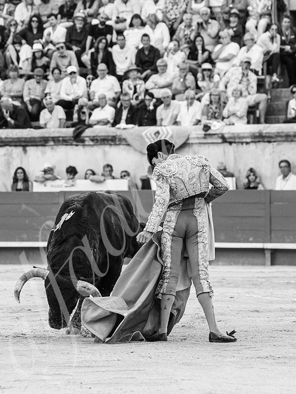 20260523 nimes fd 031