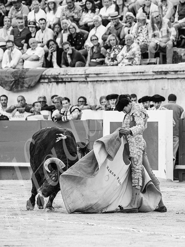 20260523 nimes fd 030