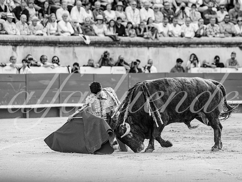 20260523 nimes fd 027