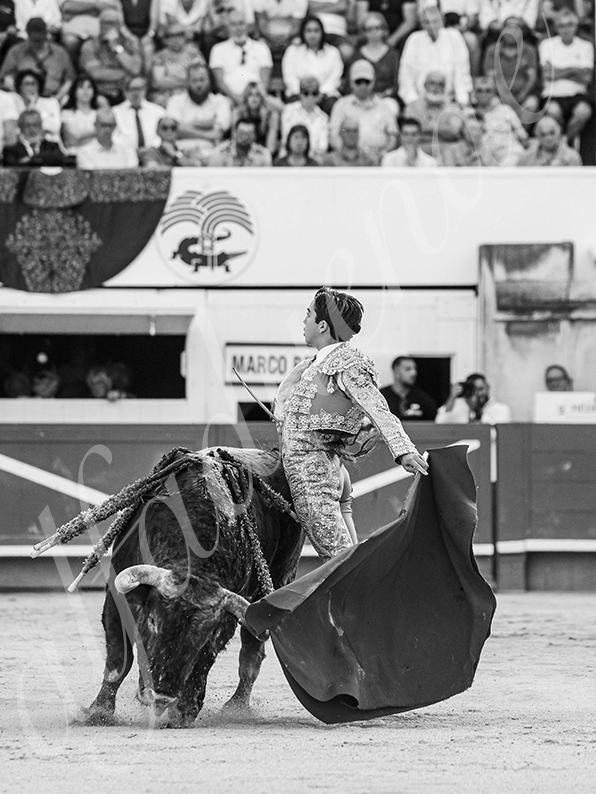 20260523 nimes fd 026