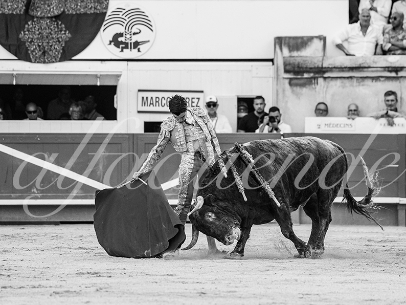 20260523 nimes fd 025