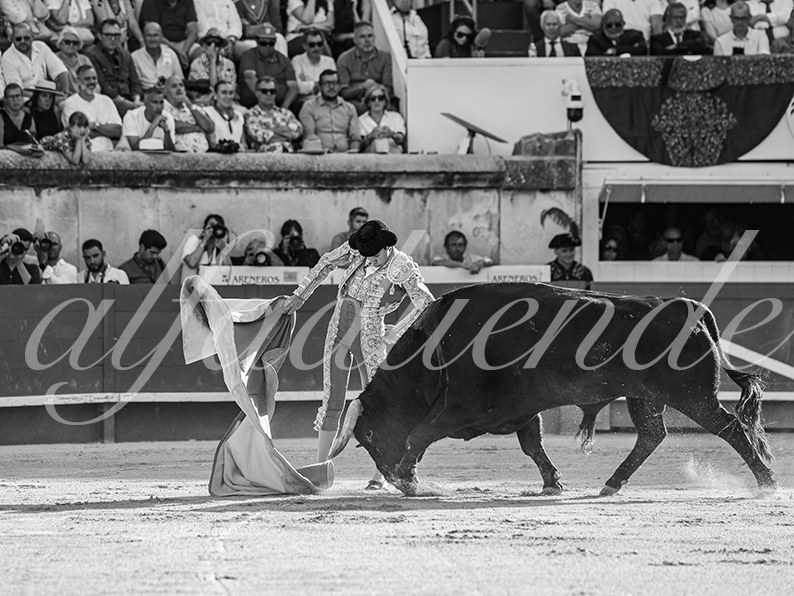 20260523 nimes fd 024
