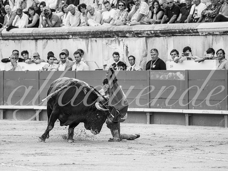 20260523 nimes fd 022