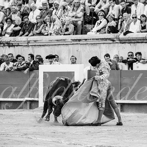 20260523 nimes fd 021
