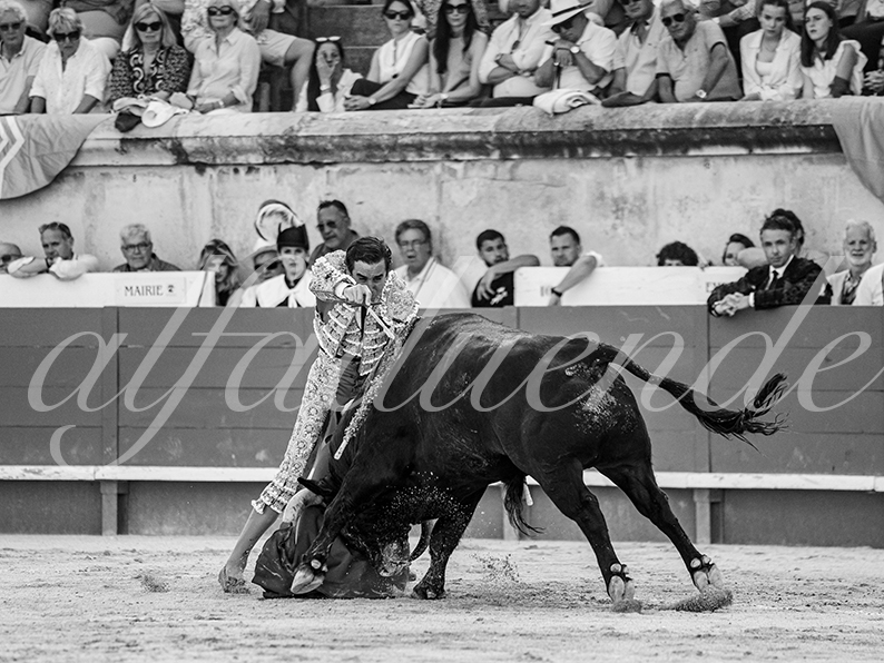 20260523 nimes fd 020