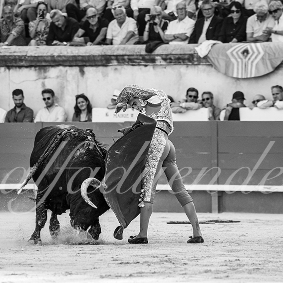 20260523 nimes fd 019