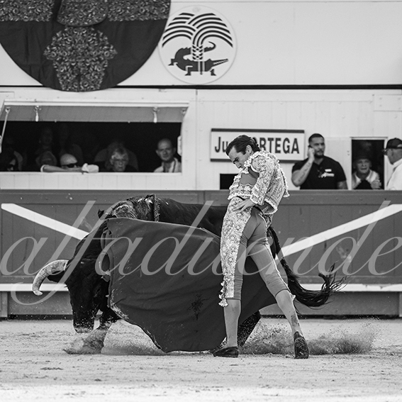 20260523 nimes fd 018