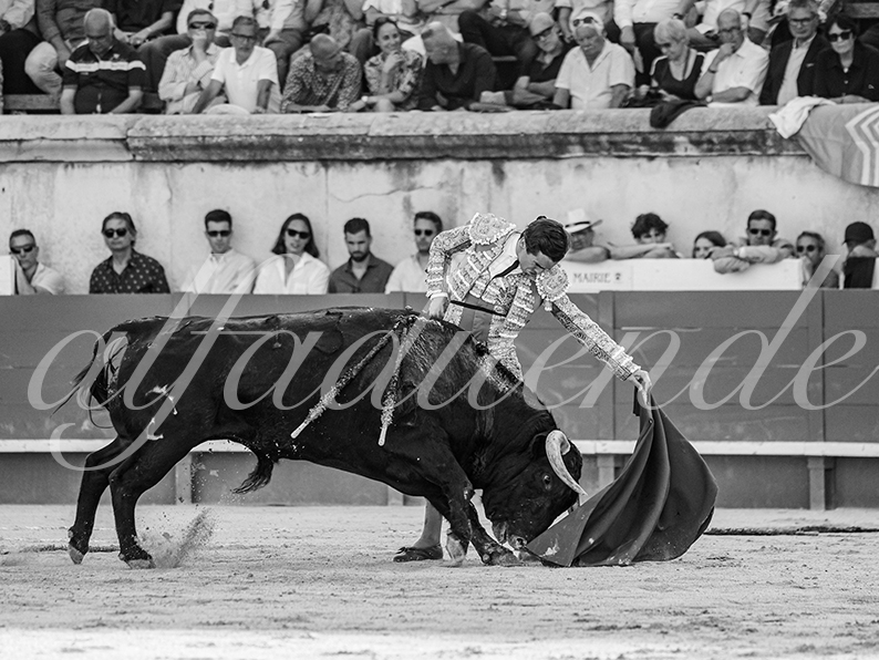 20260523 nimes fd 017