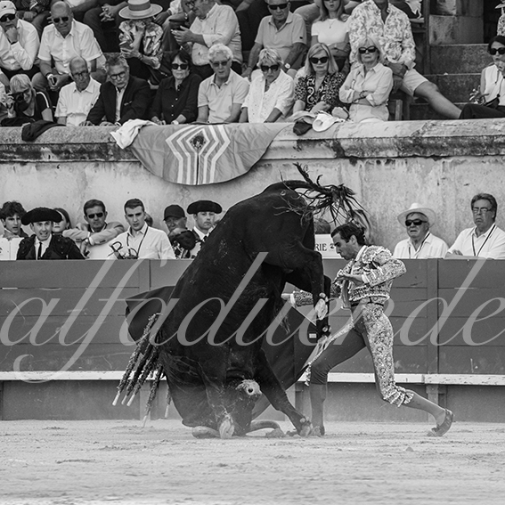 20260523 nimes fd 016