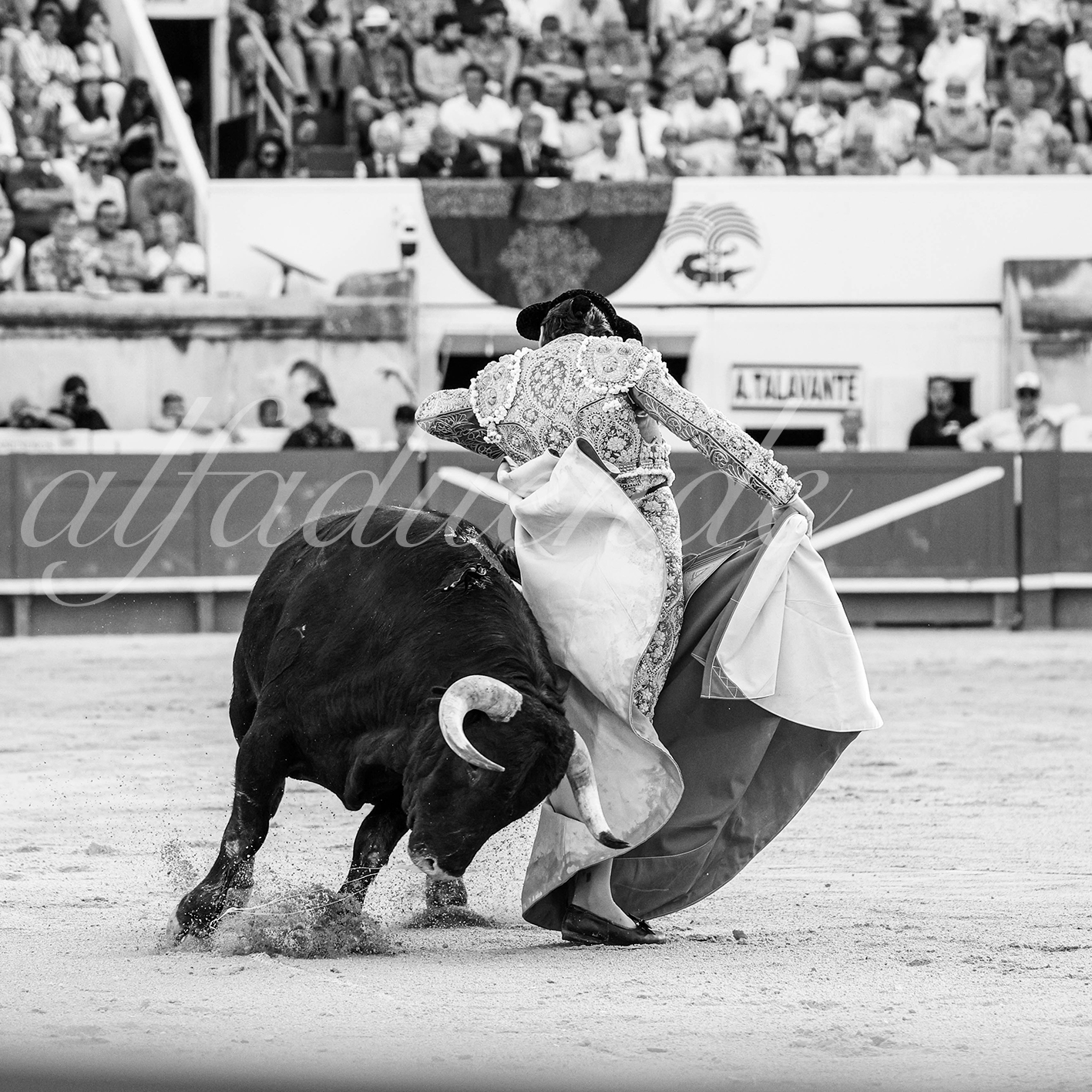20260523 nimes fd 014