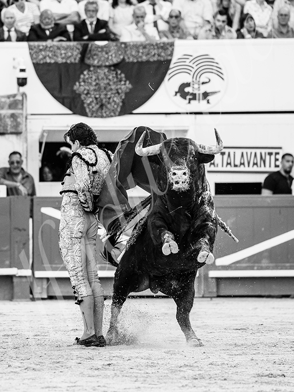 20260523 nimes fd 013