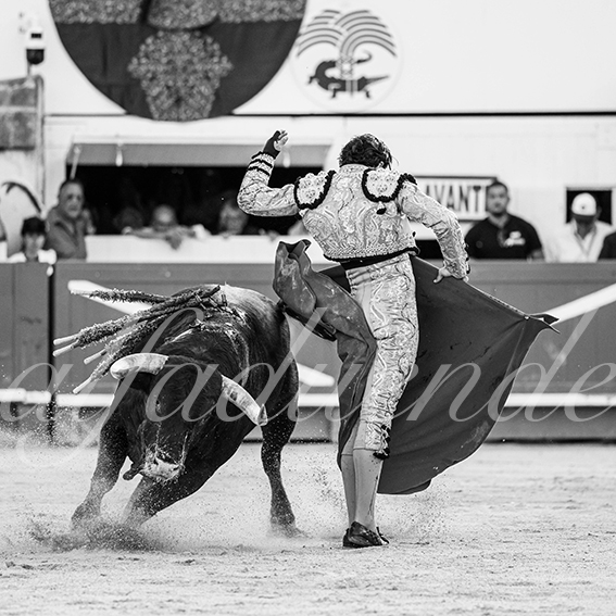 20260523 nimes fd 012