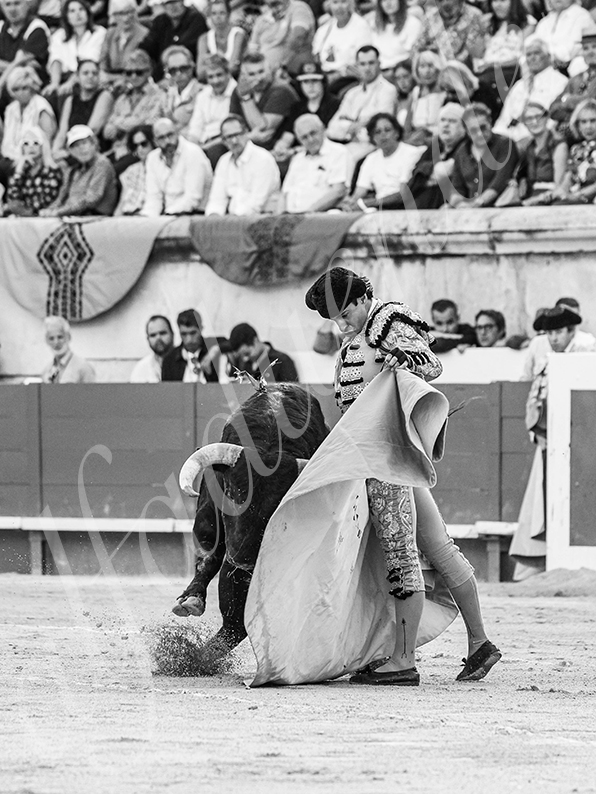 20260523 nimes fd 010