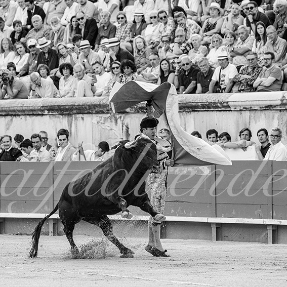 20260523 nimes fd 009
