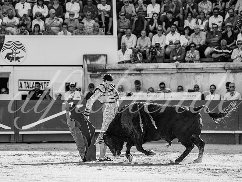 20260523 nimes fd 008