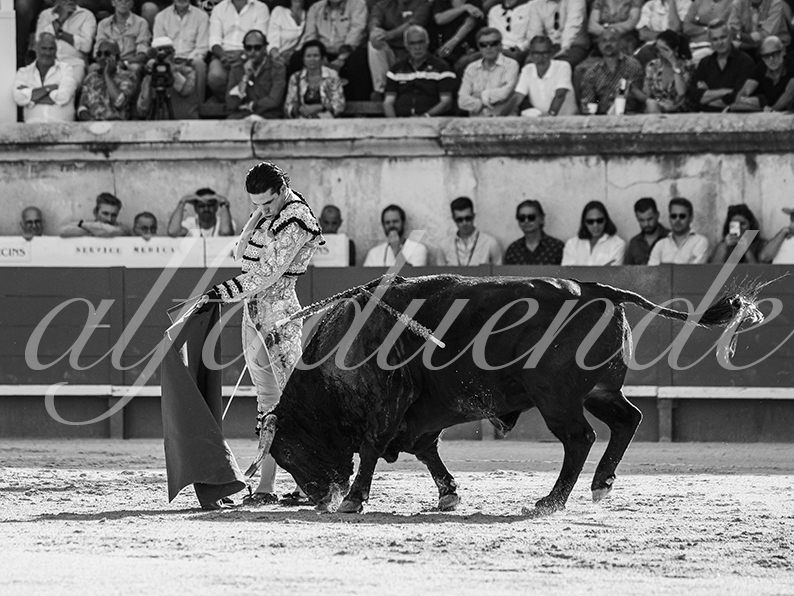 20260523 nimes fd 006