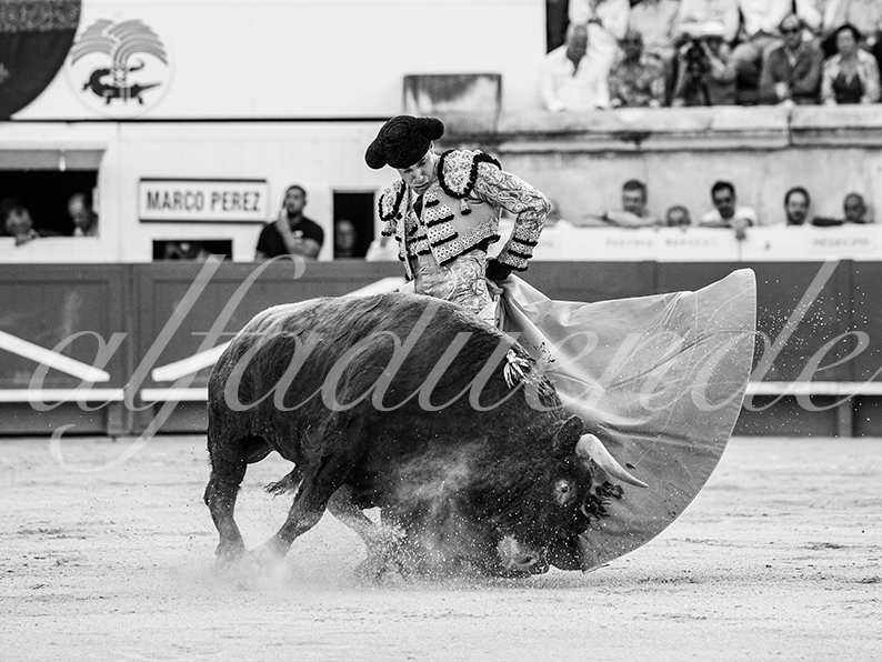 20260523 nimes fd 005