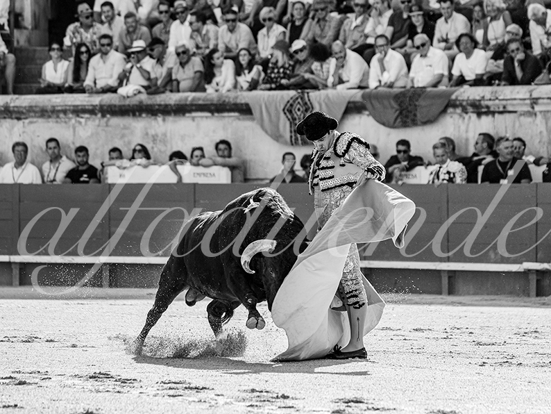 20260523 nimes fd 004