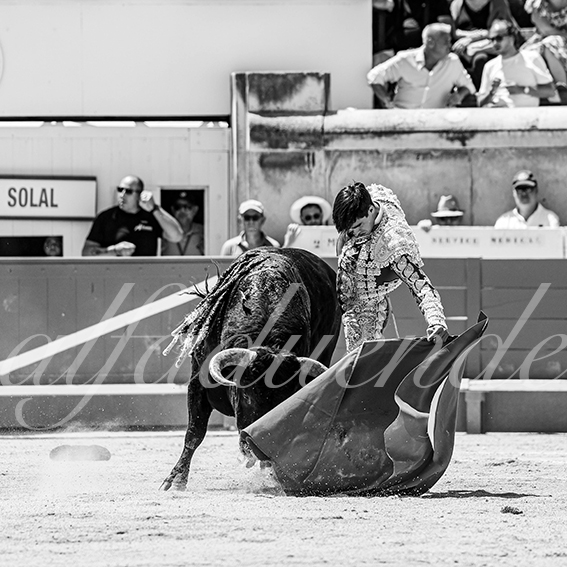 20260524 nimes matin fd 031