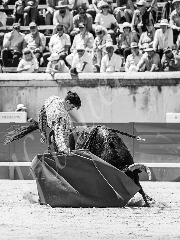 20260524 nimes matin fd 030