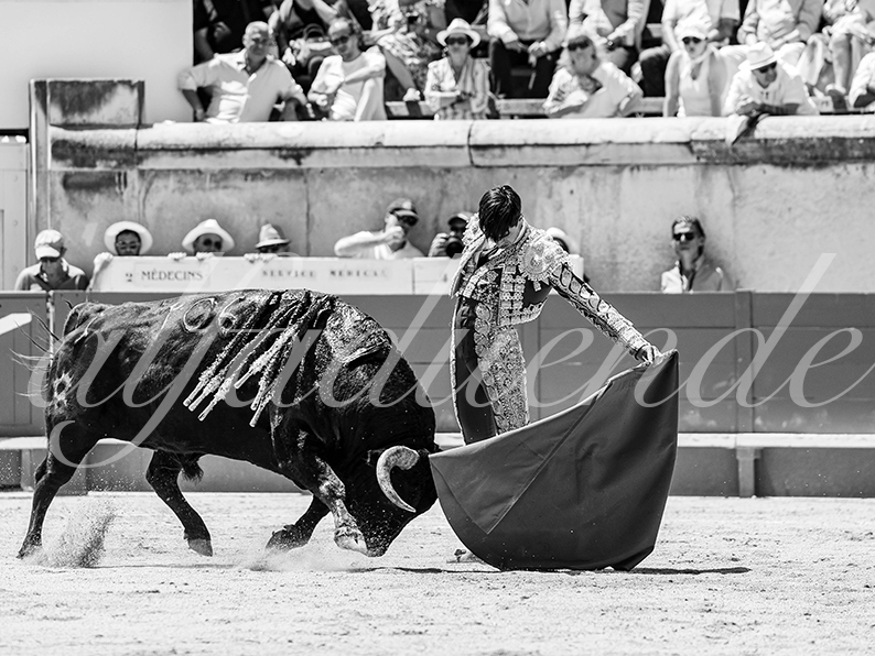 20260524 nimes matin fd 029