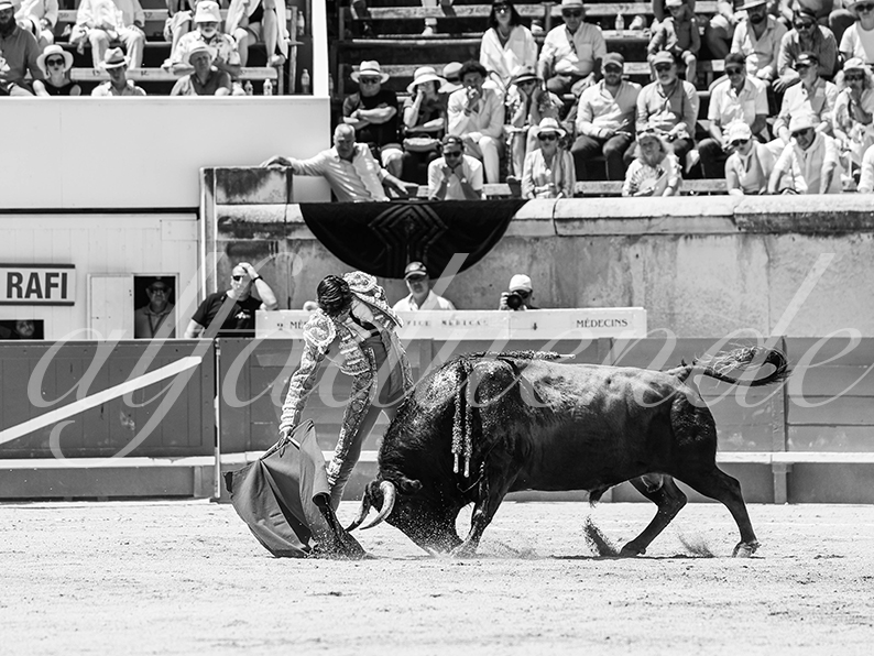 20260524 nimes matin fd 025